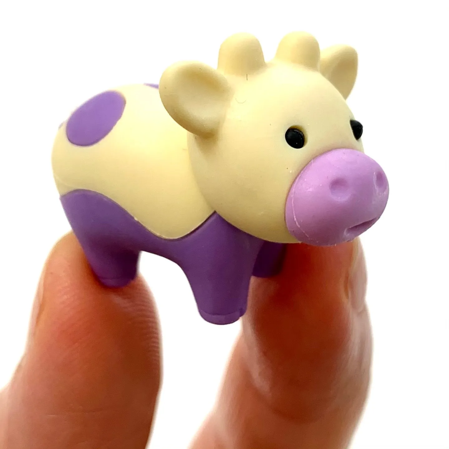 384541 IWAKO Colorz Cows -1 box of 5 Erasers