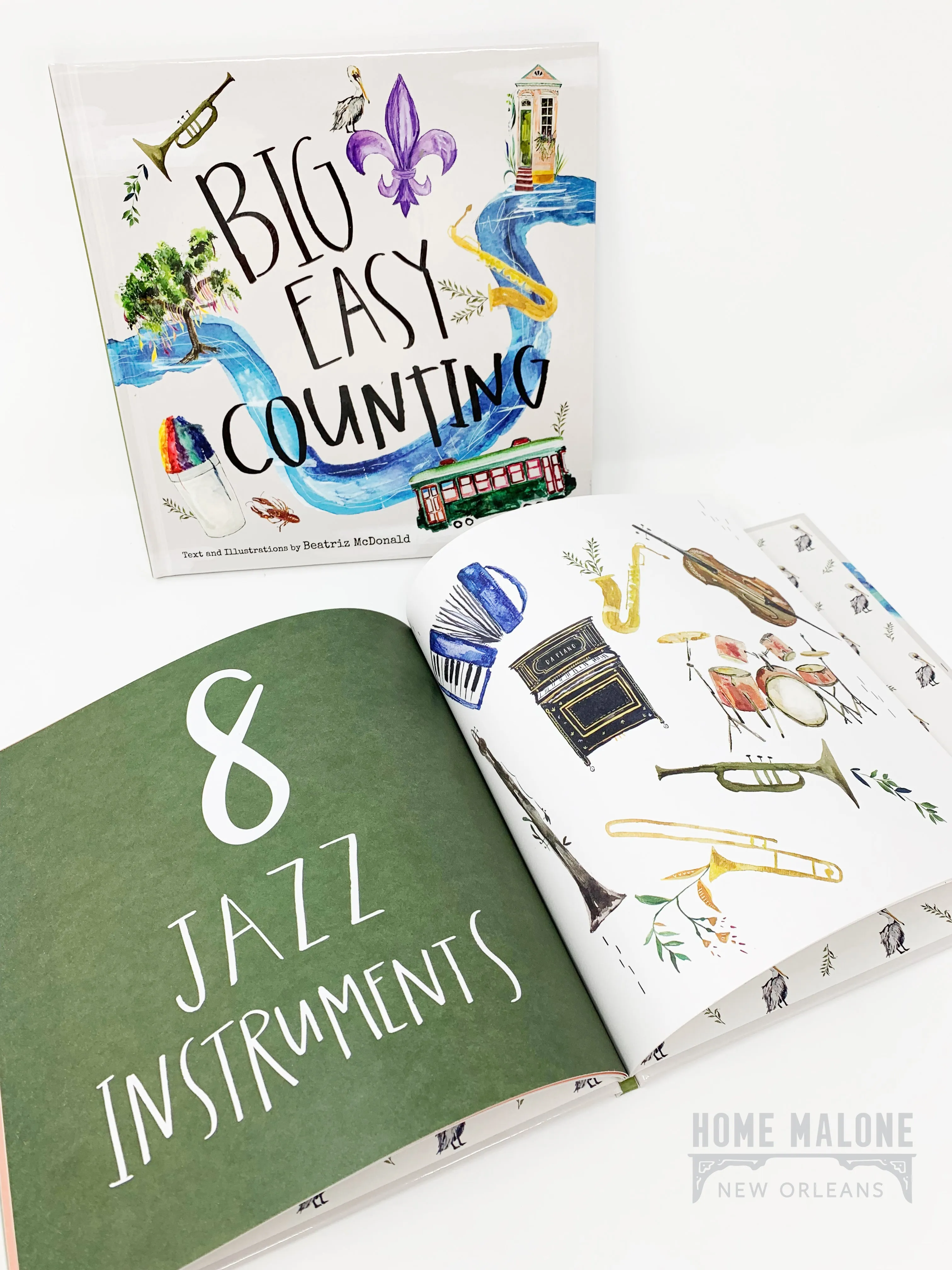 Big Easy Counting Book