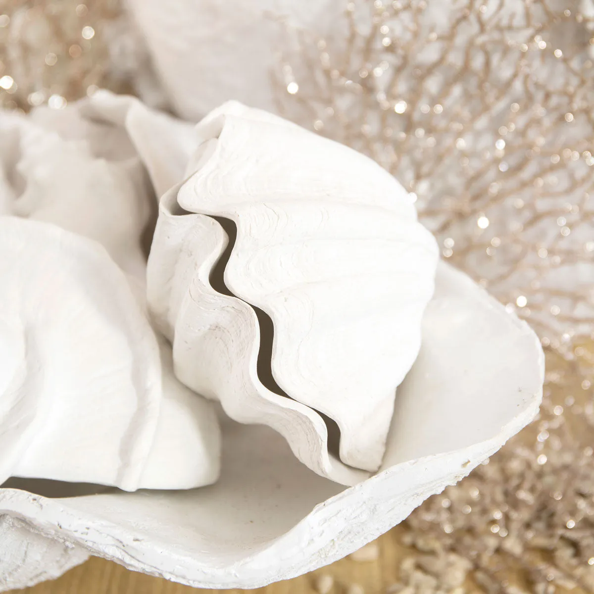 Clam Shell Trinket Boxes Resin (White)