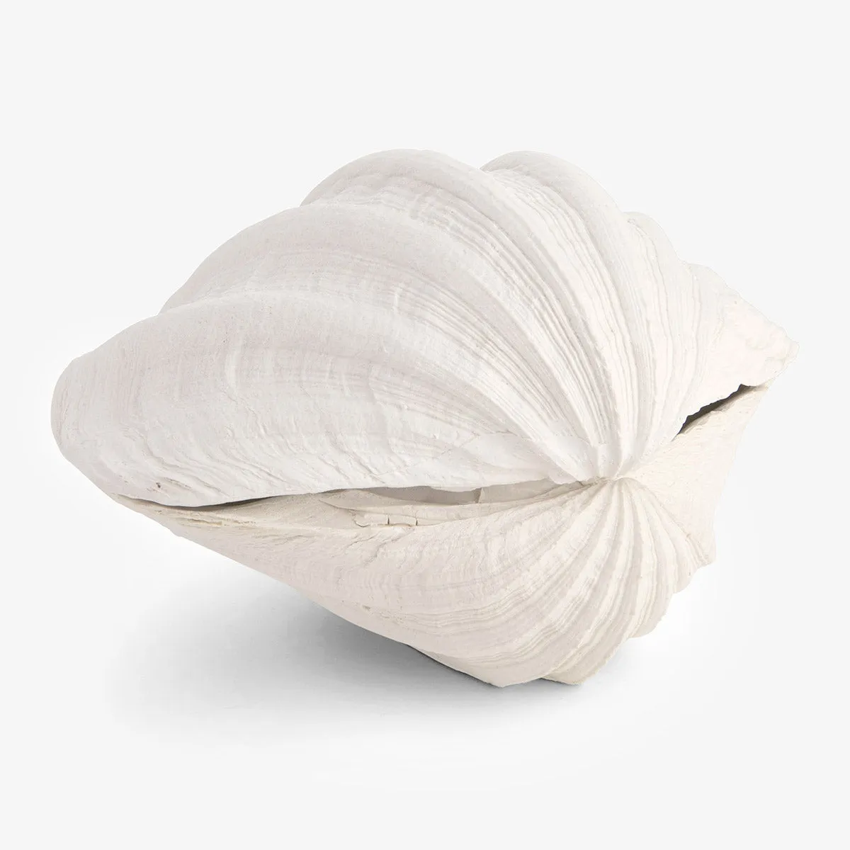 Clam Shell Trinket Boxes Resin (White)