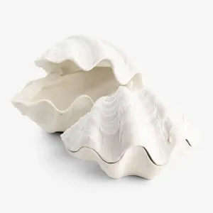 Clam Shell Trinket Boxes Resin (White)