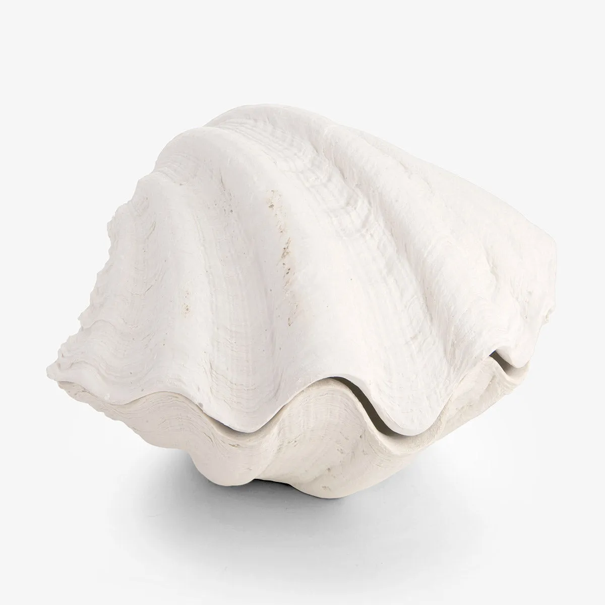 Clam Shell Trinket Boxes Resin (White)