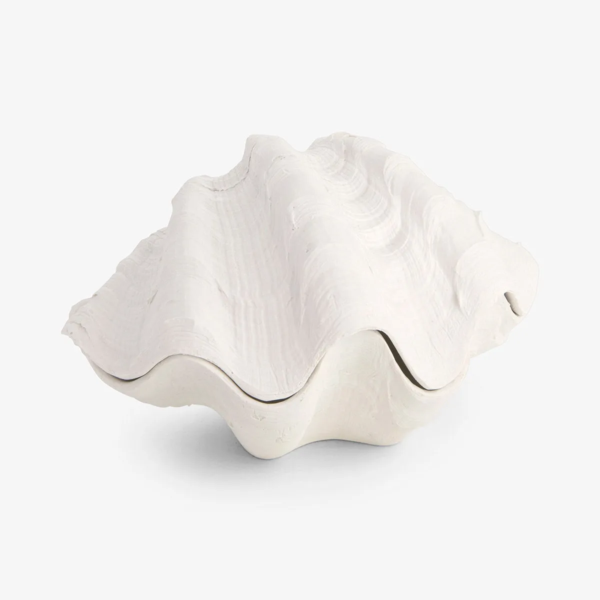 Clam Shell Trinket Boxes Resin (White)