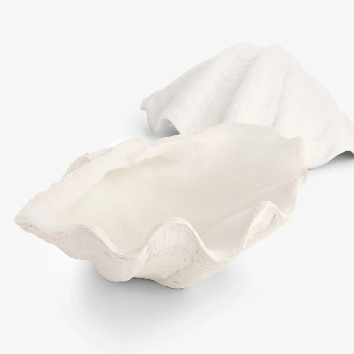 Clam Shell Trinket Boxes Resin (White)