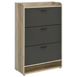 Danny Shoe Storage Cabinet, 3 Tiered, Bottom Shelf, Antiqued Gray Pine By Casagear Home