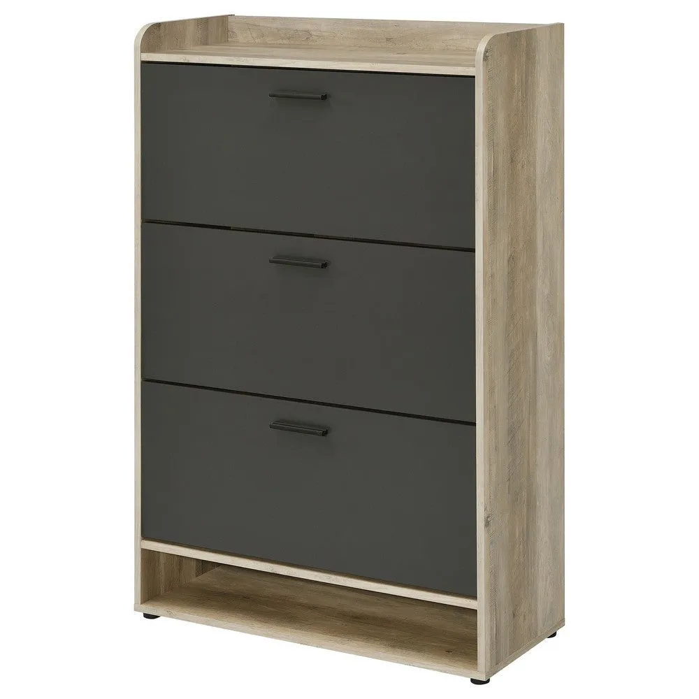 Danny Shoe Storage Cabinet, 3 Tiered, Bottom Shelf, Antiqued Gray Pine By Casagear Home