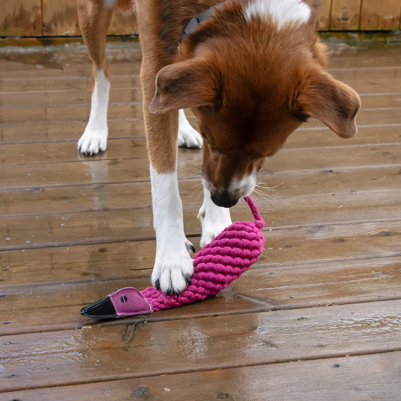 Flamingo Rope & Water Bottle Dog Toy