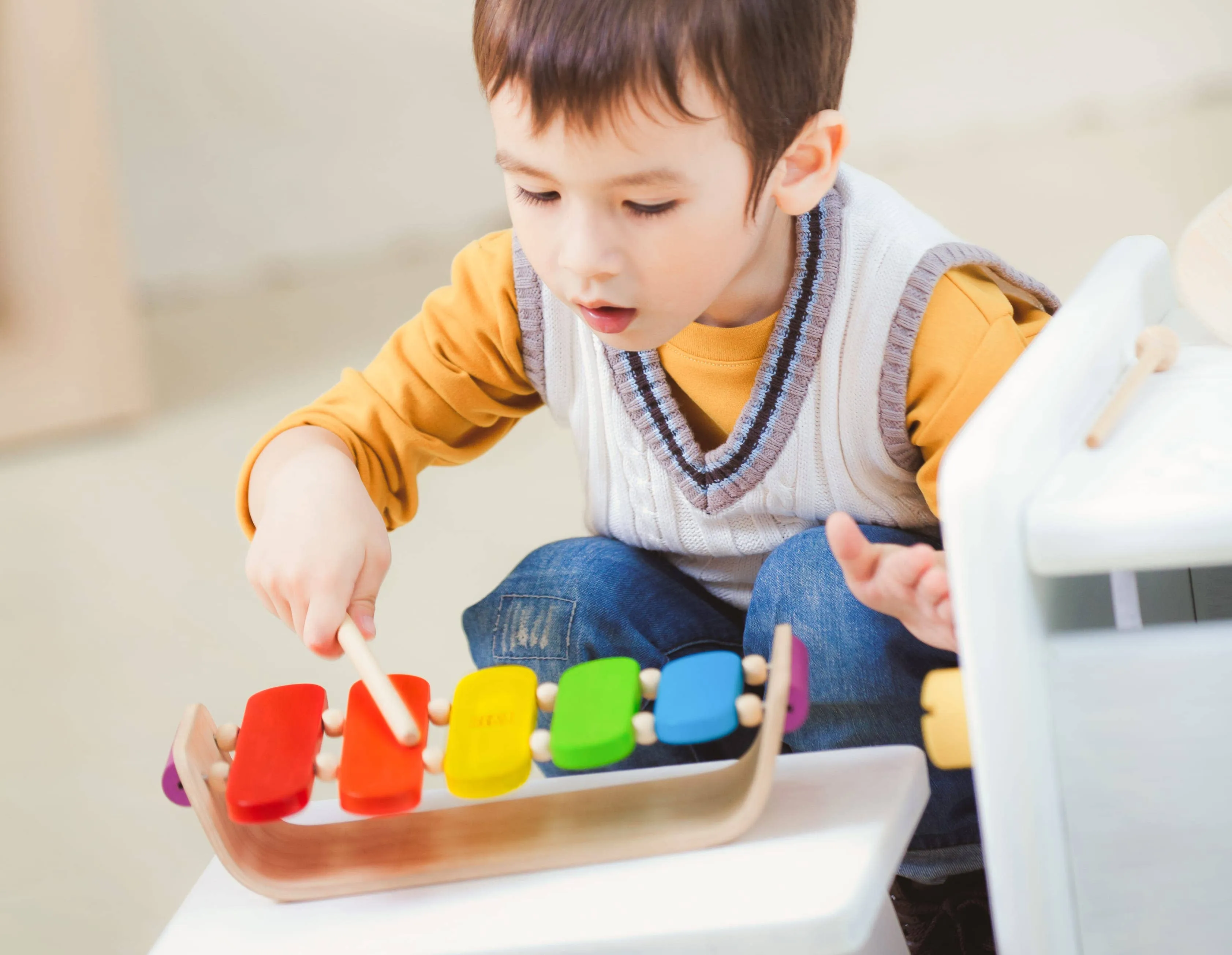 PlanToys Oval Xylophone - Primary Series