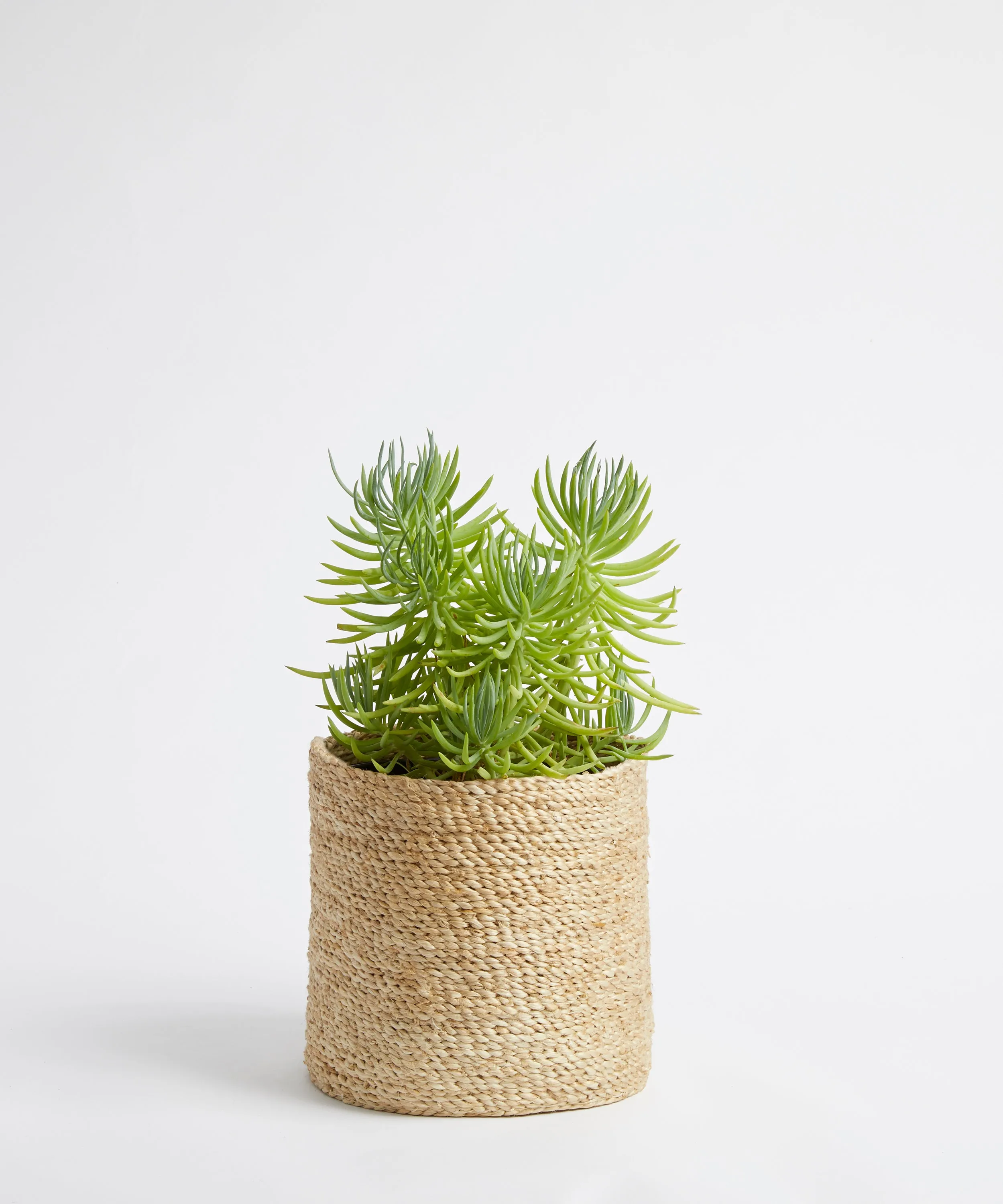 Versatile & Neat Jute Basket